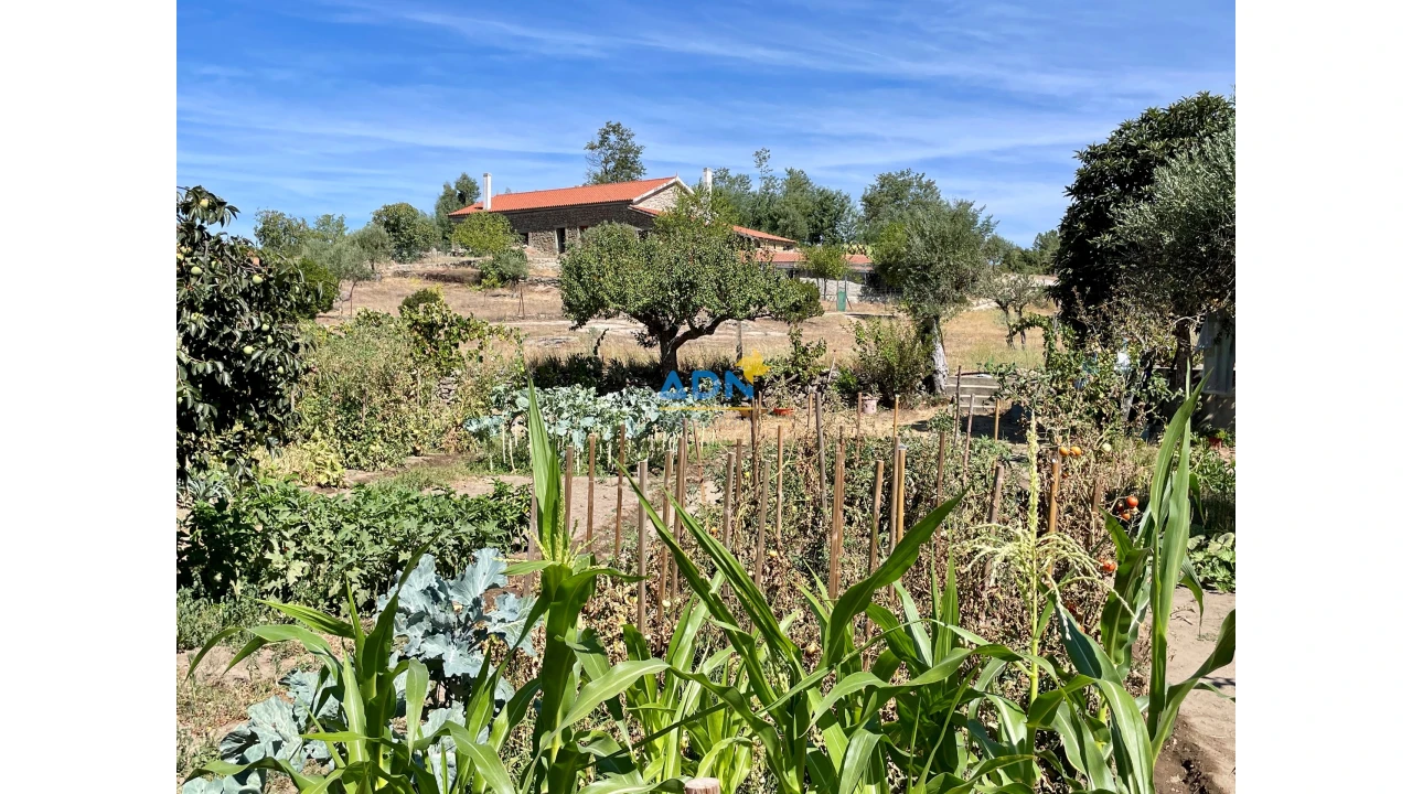Quinta para Venda em São Miguel de Acha Foto 21