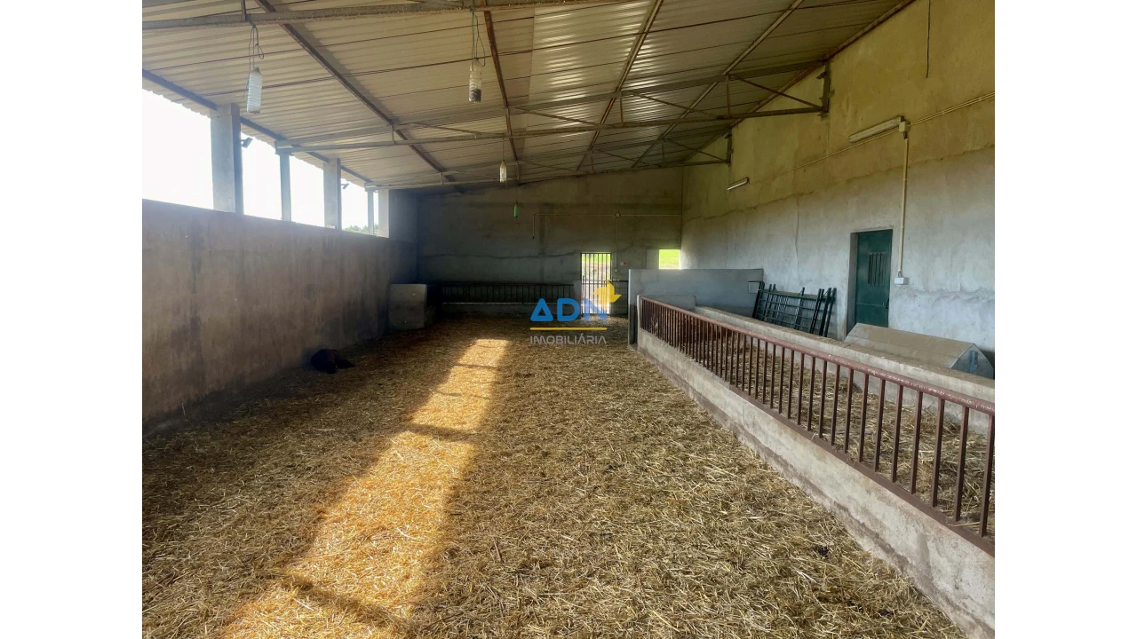 Quinta para Venda em São Miguel de Acha Foto 26