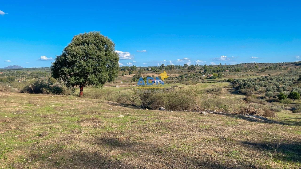 Quinta para Venda em São Miguel de Acha Foto 45