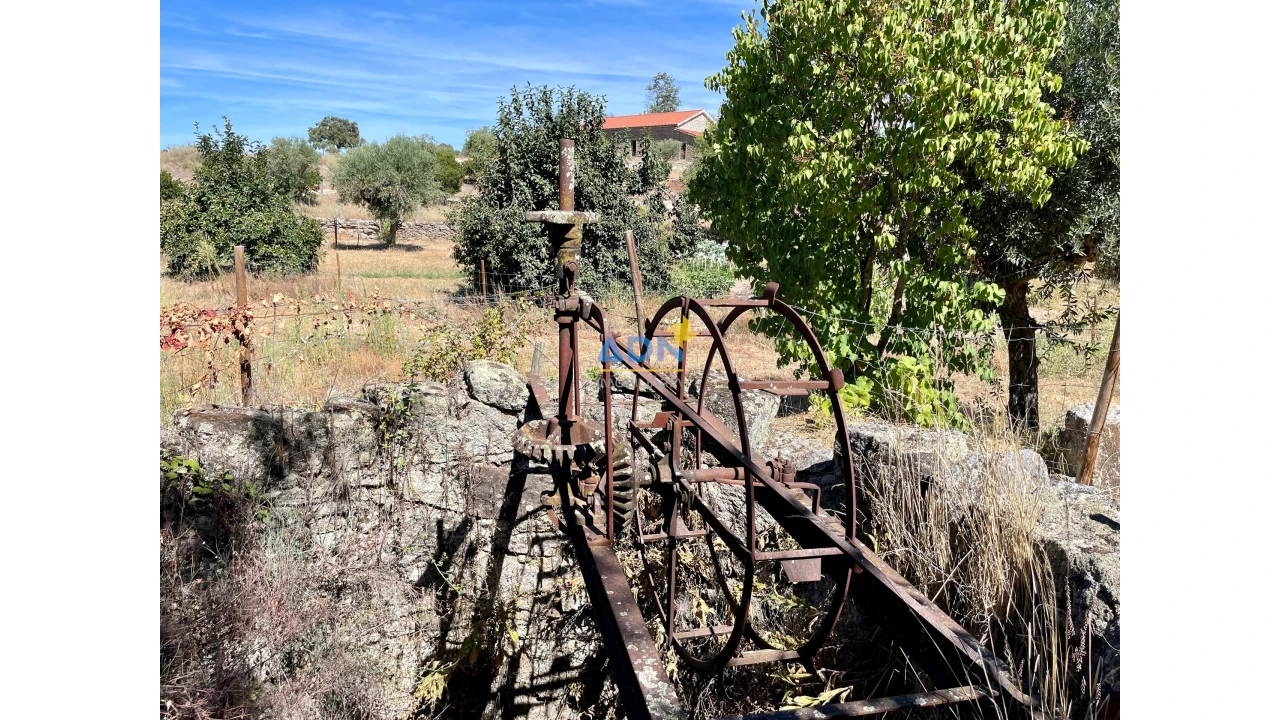 Quinta para Venda em São Miguel de Acha Foto 19