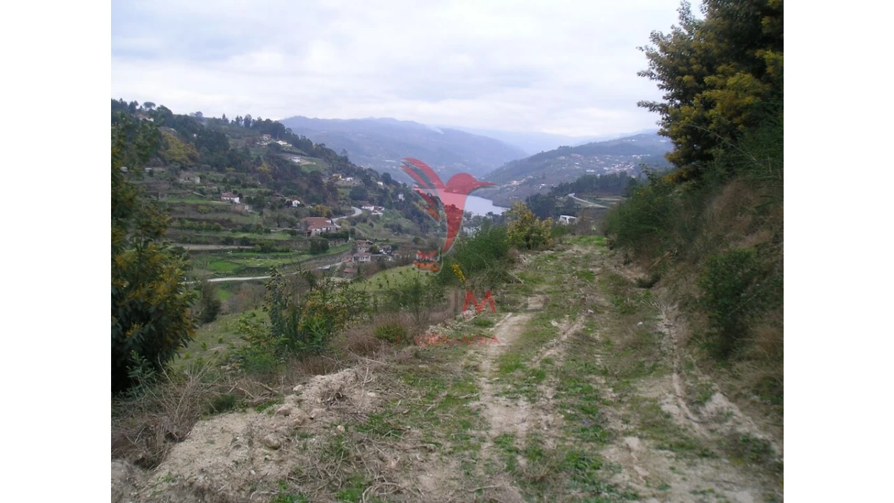 Terreno para Venda em Alpendorada, Várzea e Torrão Foto 2