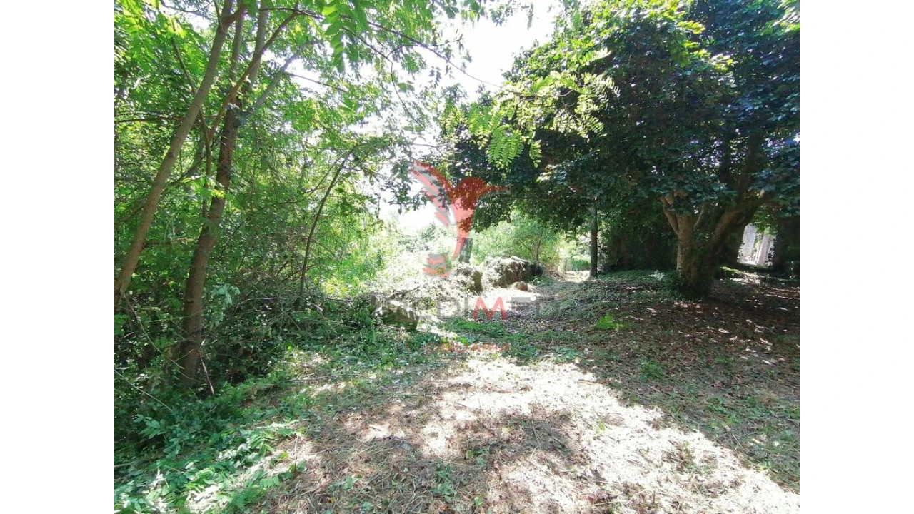 Quinta para Venda em Alpendorada, Várzea e Torrão Foto 13