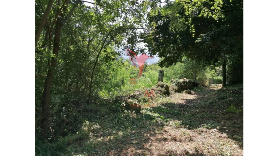 Quinta para Venda em Alpendorada, Várzea e Torrão Foto 2
