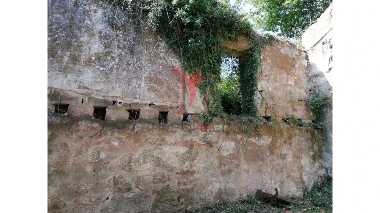 Quinta para Venda em Alpendorada, Várzea e Torrão Foto 18