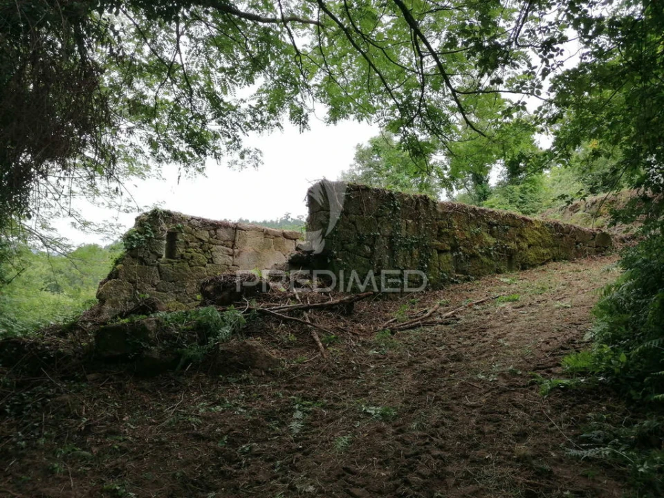 Quinta T7 para Venda em Alpendorada, Várzea e Torrão Foto 9
