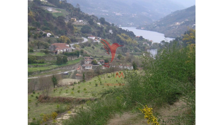 Quinta T7 para Venda em Alpendorada, Várzea e Torrão Foto 2
