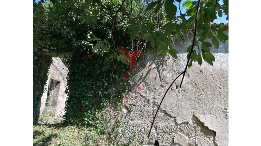 Quinta para Venda em Alpendorada, Várzea e Torrão Foto 18