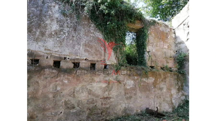 Quinta para Venda em Alpendorada, Várzea e Torrão Foto 16