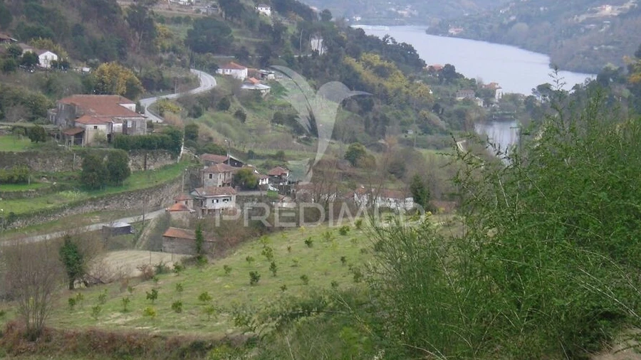 Quinta para Venda em Alpendorada, Várzea e Torrão