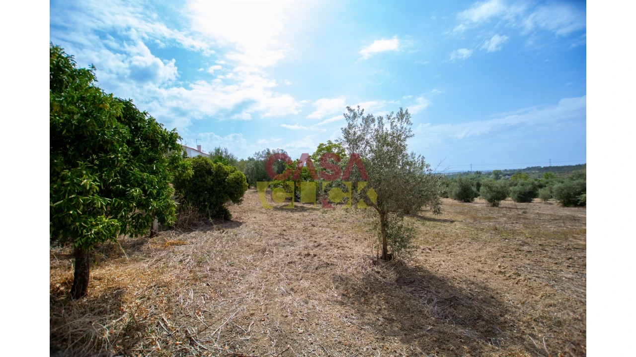 Terreno para Venda em Olaia e Paço Foto 5