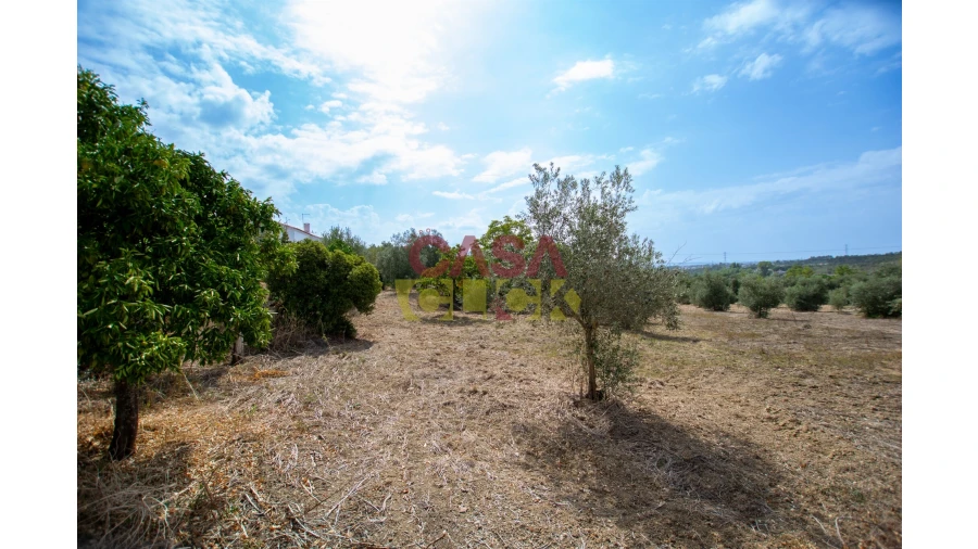 Terreno para Venda em Olaia e Paço Foto 5