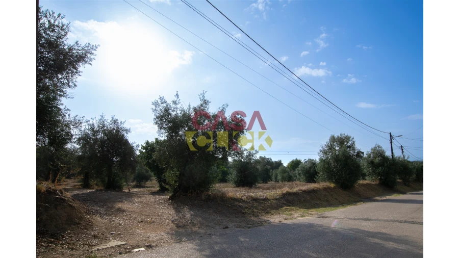 Terreno para Venda em Olaia e Paço Foto 2