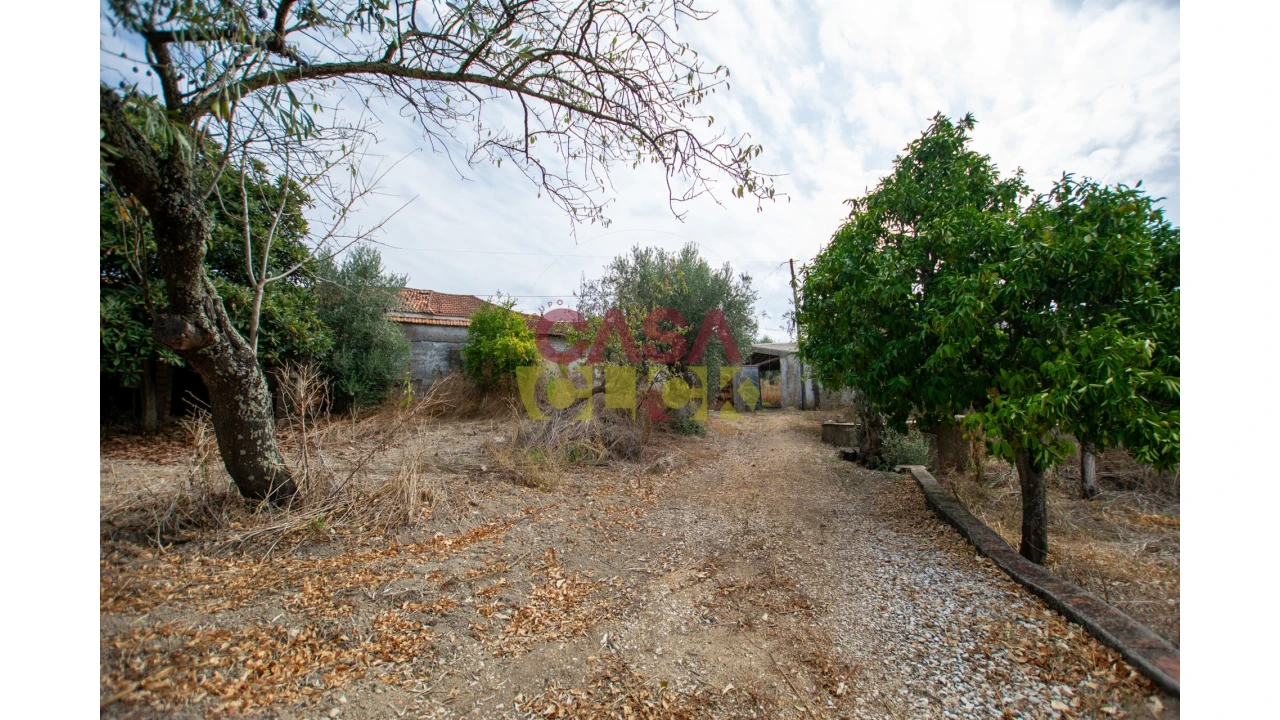 Terreno para Venda em Olaia e Paço Foto 1