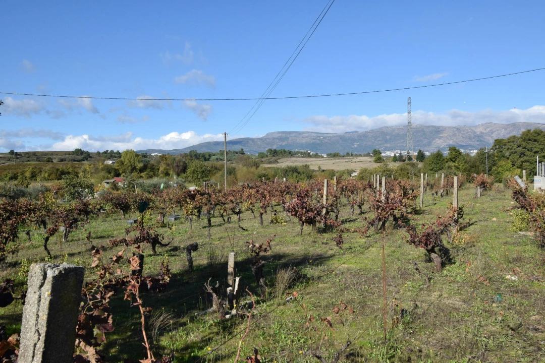 Quinta T3 para Venda em Peraboa Foto 26