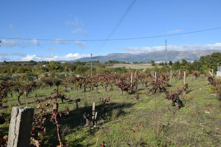 Quinta T3 para Venda em Peraboa Foto 26