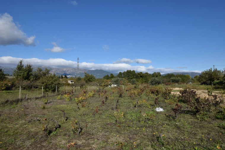 Quinta T3 para Venda em Peraboa Foto 31