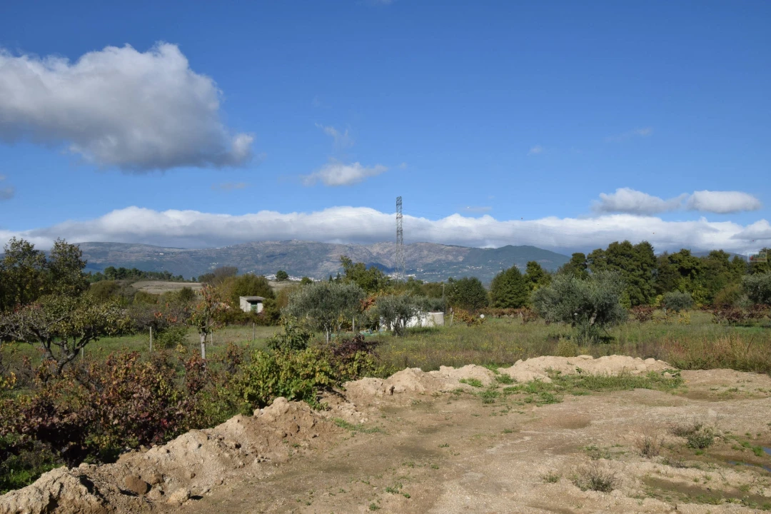 Quinta T3 para Venda em Peraboa Foto 29