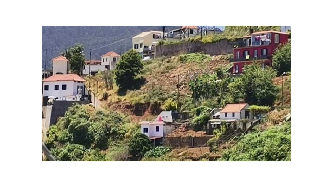 Terreno Agricola ou Rústico para Venda em Estreito de Camara de Lobos Foto 1