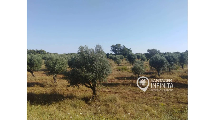 Quinta T2 para Venda em Gloria Foto 6