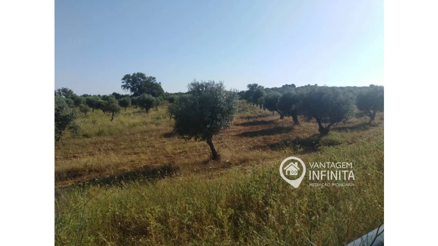 Quinta T2 para Venda em Gloria Foto 8