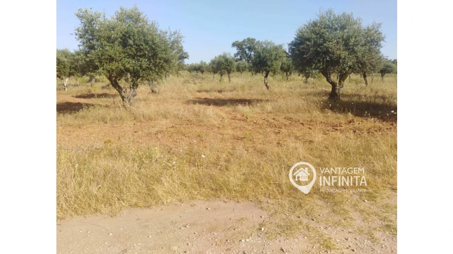 Quinta T2 para Venda em Gloria Foto 9