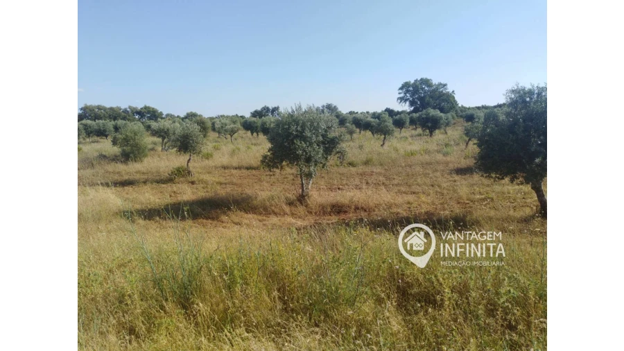 Quinta T2 para Venda em Gloria Foto 2