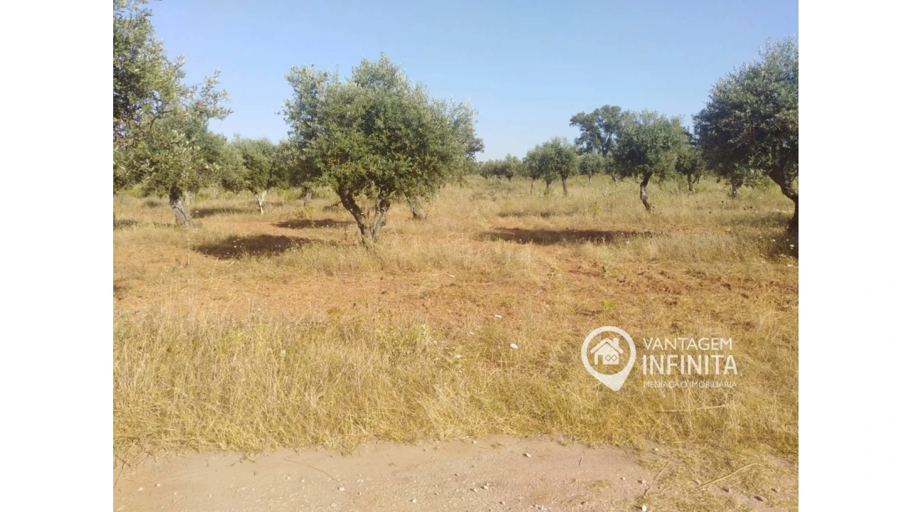 Quinta T2 para Venda em Gloria Foto 10