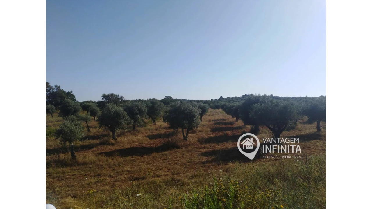 Quinta T2 para Venda em Gloria Foto 11