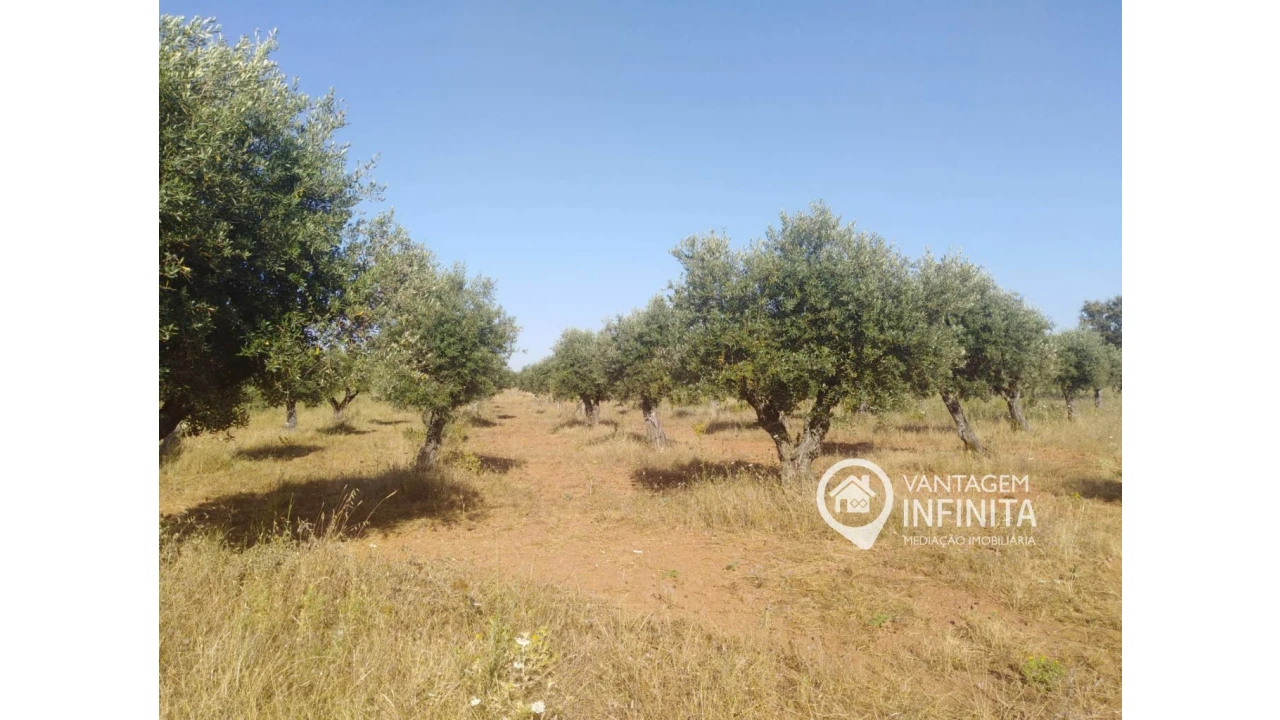 Quinta T2 para Venda em Gloria Foto 5