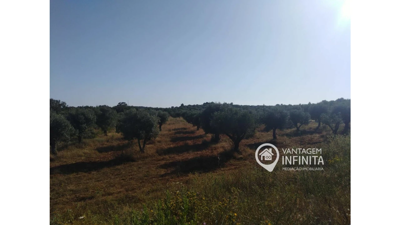 Quinta T2 para Venda em Gloria Foto 13