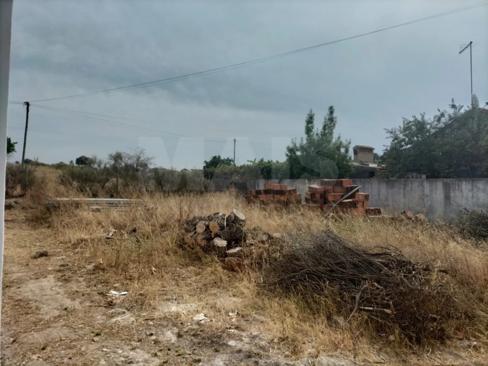 Terreno para Venda em Alagoa Foto 2