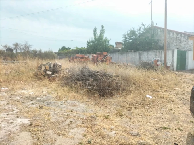Terreno para Venda em Alagoa