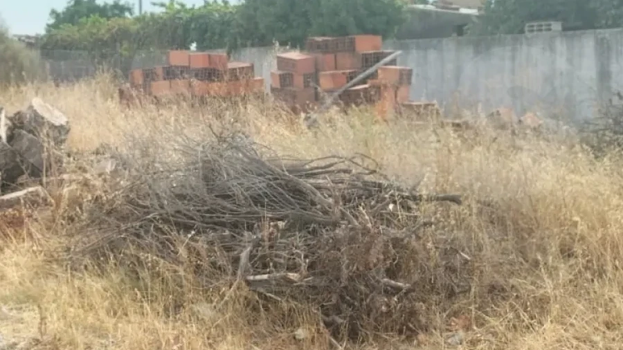 Terreno para Venda em Alagoa