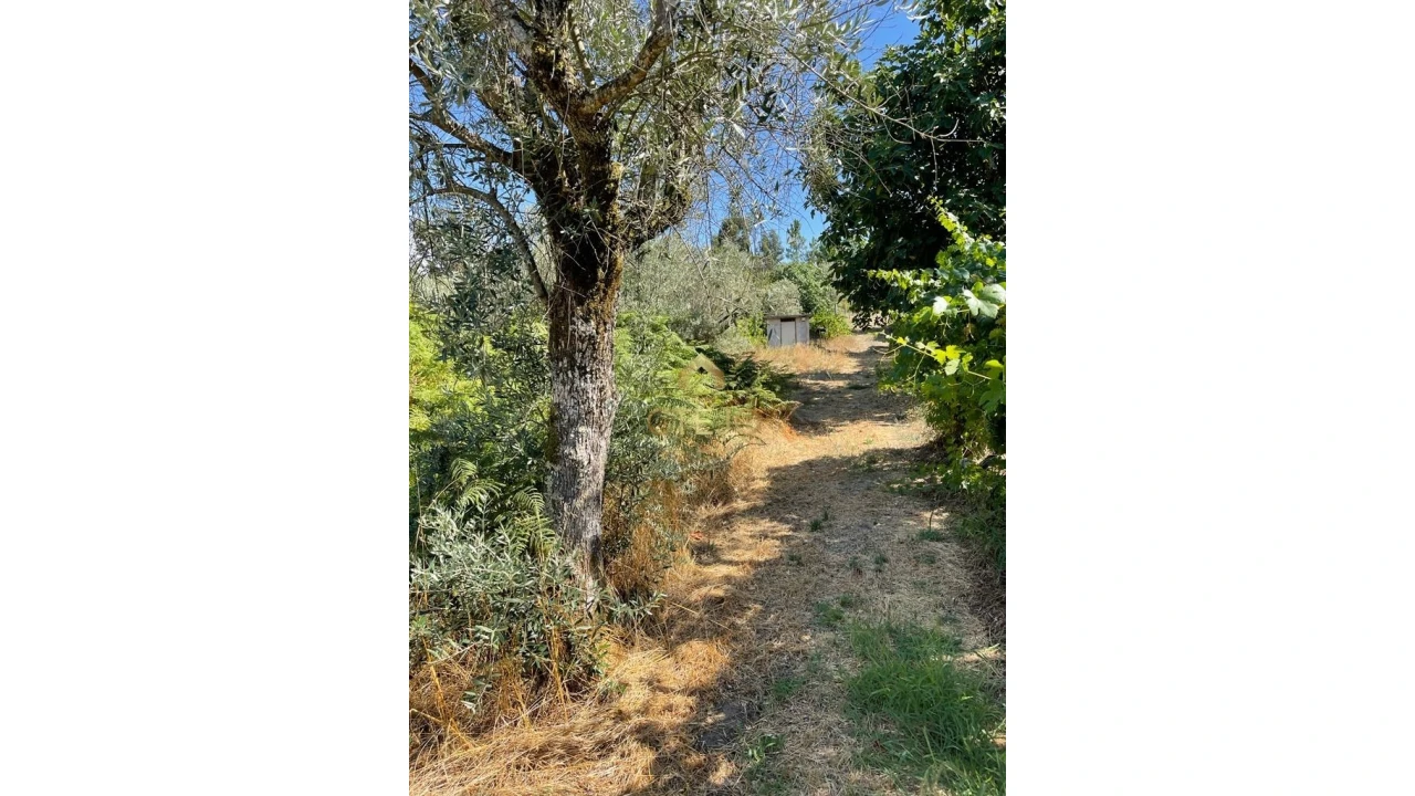 Terreno Agricola ou Rústico para Venda em Freixiosa Foto 2