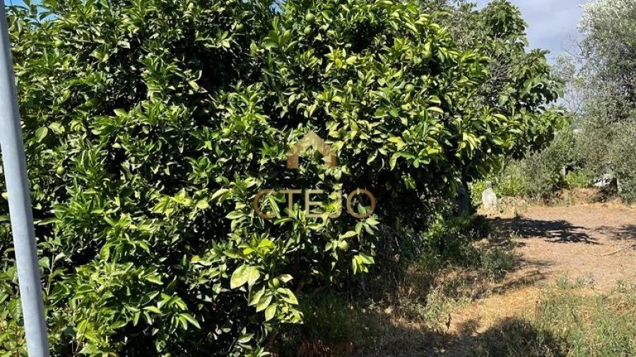 Terreno Agricola ou Rústico para Venda em Freixiosa