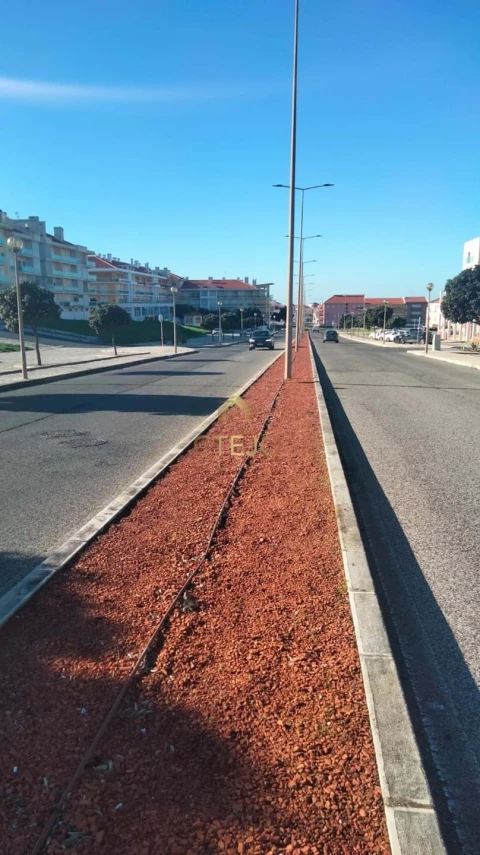 Terreno para Venda em Silveira