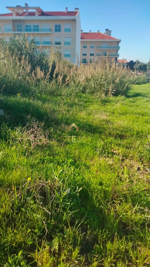Terreno para Venda em Silveira