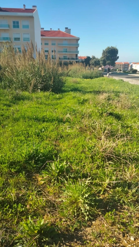 Terreno para Venda em Silveira