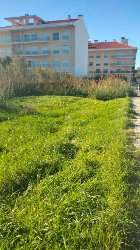 Terreno para Venda em Silveira