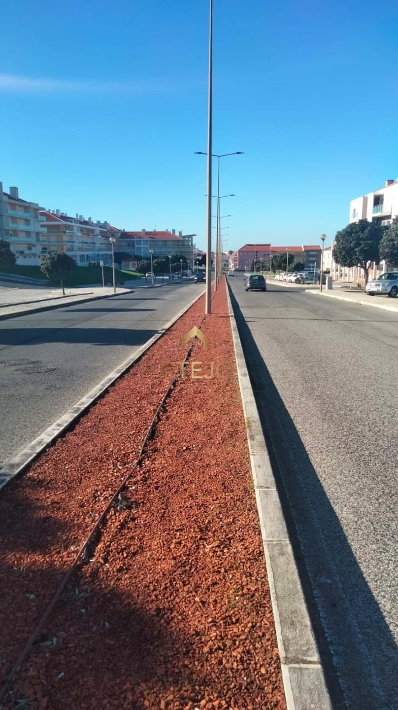 Terreno para Venda em Silveira Foto 16