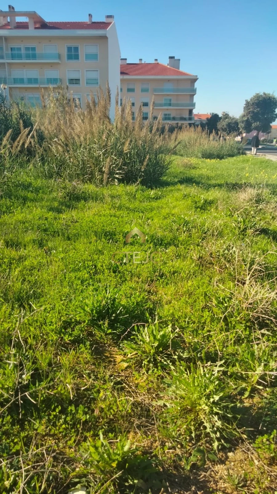 Terreno para Venda em Silveira Foto 6