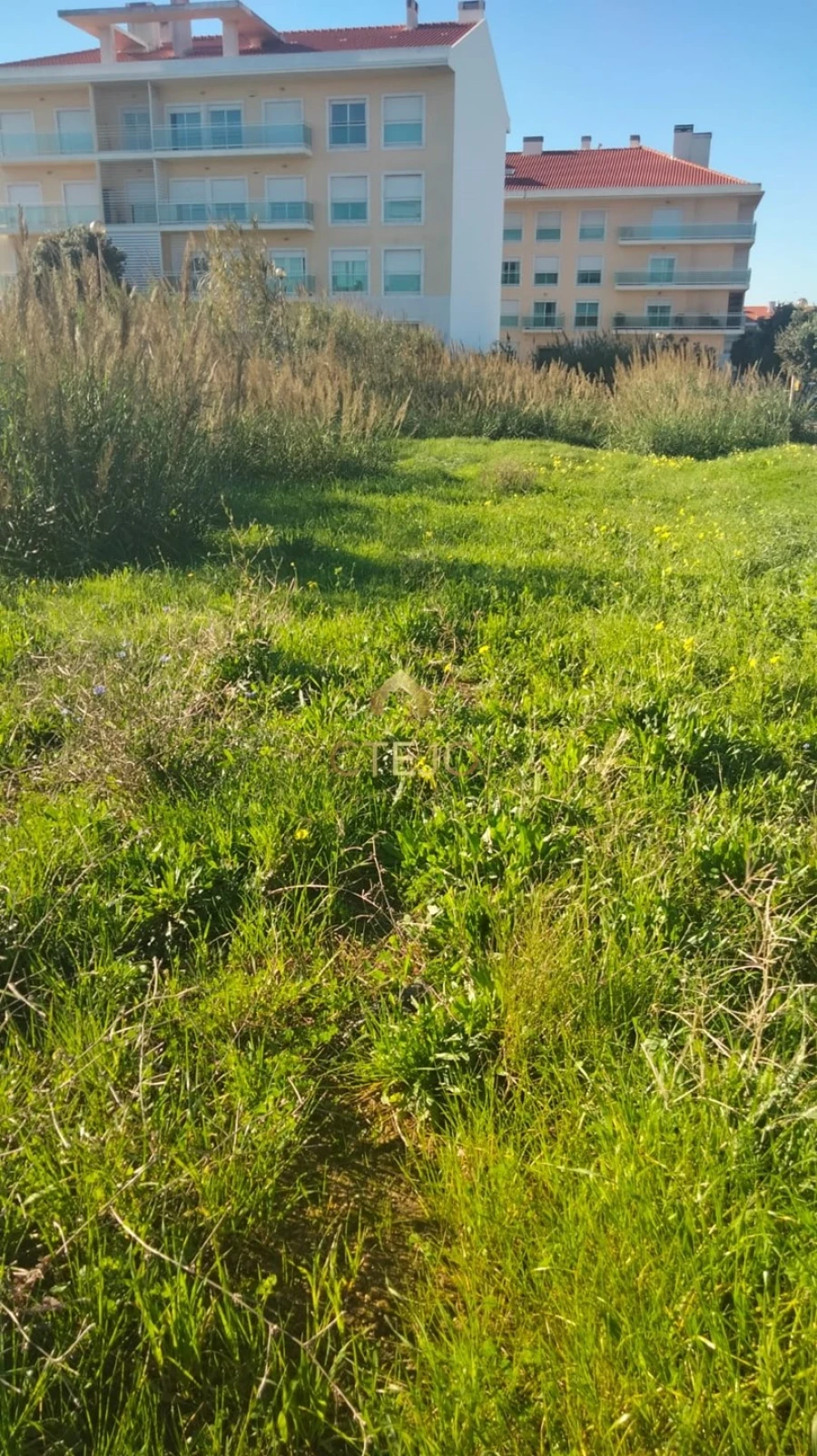 Terreno para Venda em Silveira Foto 5