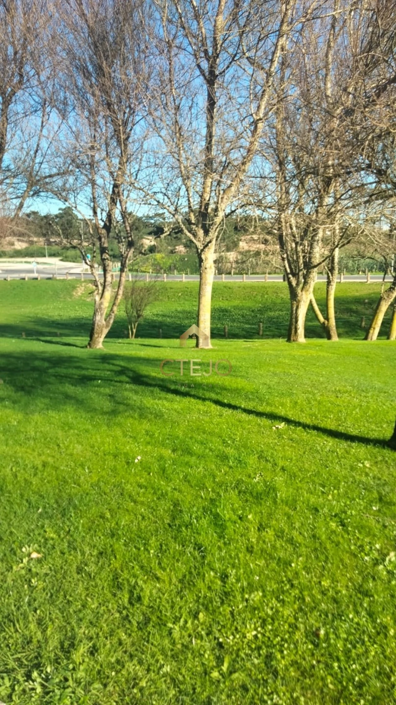 Terreno para Venda em Silveira Foto 13