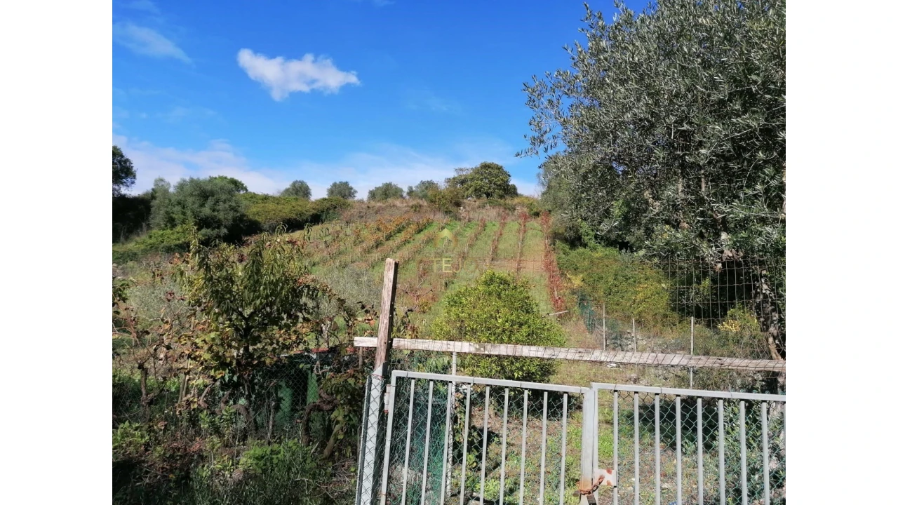 Terreno para Venda em Bucelas Foto 10