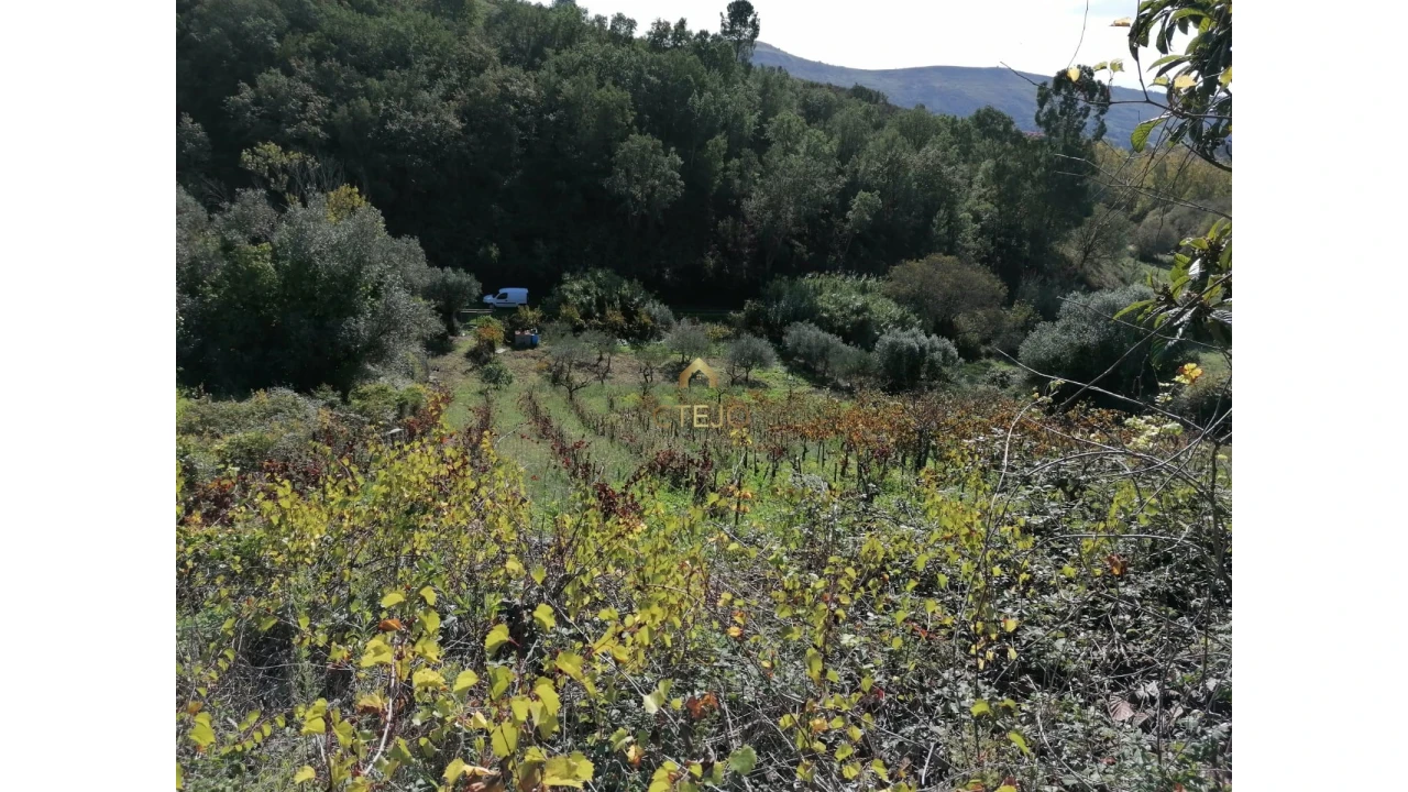 Terreno para Venda em Bucelas Foto 7