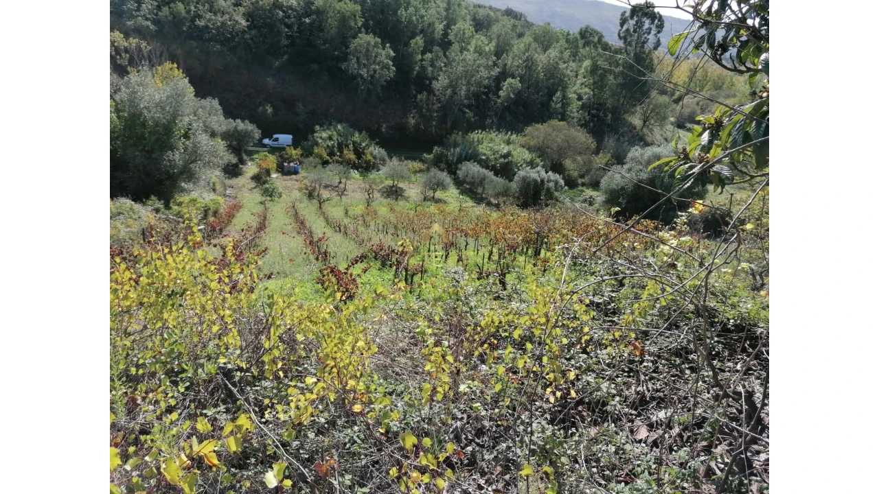 Terreno para Venda em Bucelas Foto 5