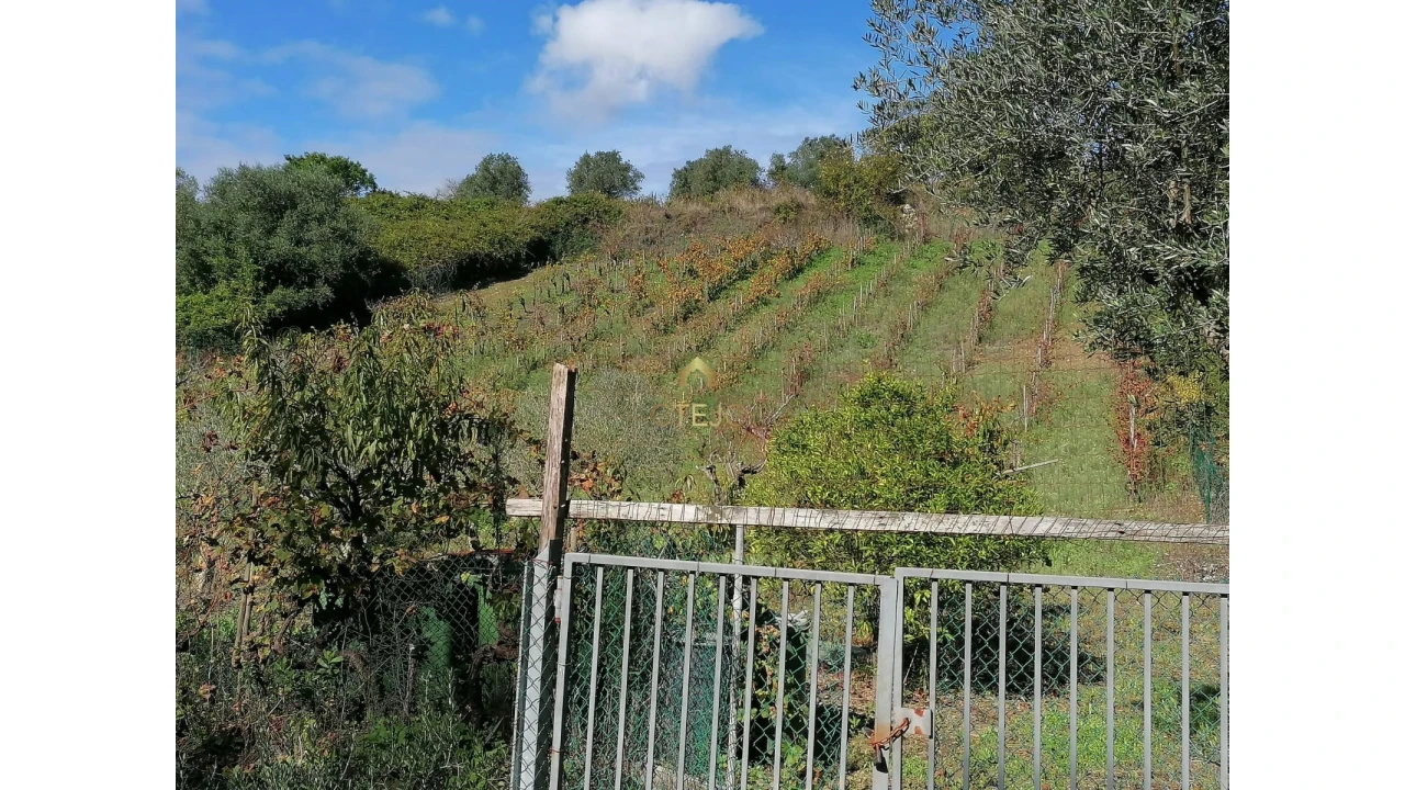 Terreno para Venda em Bucelas Foto 11