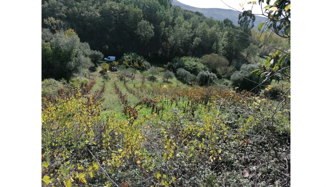 Terreno para Venda em Bucelas Foto 6