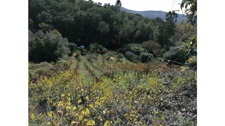 Terreno para Venda em Bucelas Foto 7