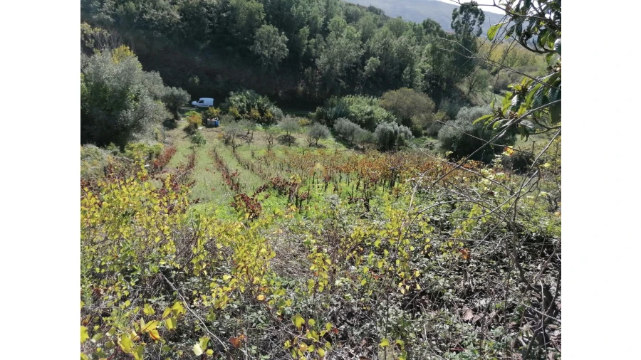 Terreno para Venda em Bucelas Foto 5